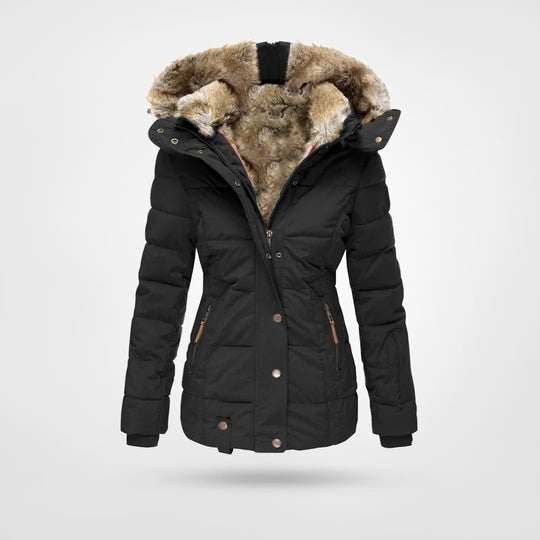 Women's Winter Jacket | Hooded & Lined 1