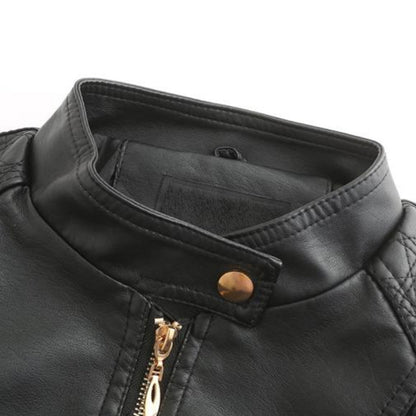 Women's Jacket | High Collar & Zip Pockets 14