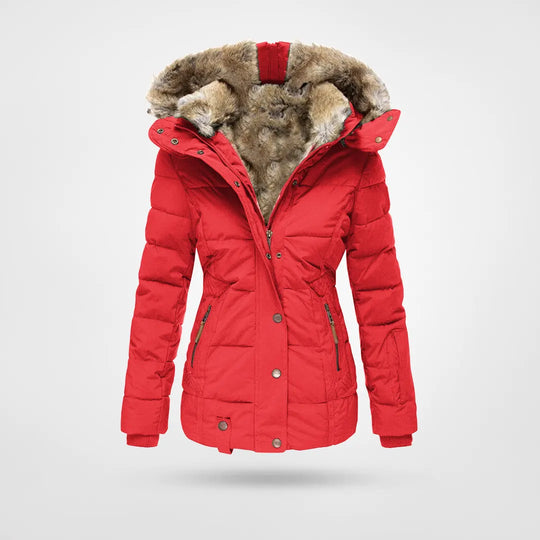 Women's Winter Jacket | Hooded & Lined 3