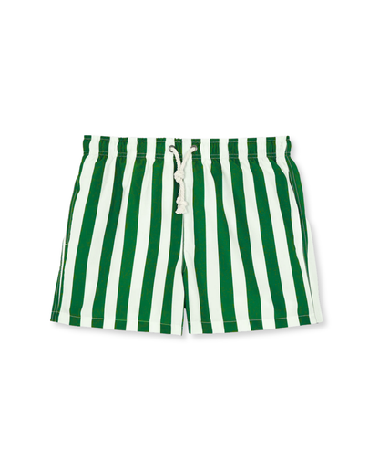 Sile Striped Swim Shorts 5