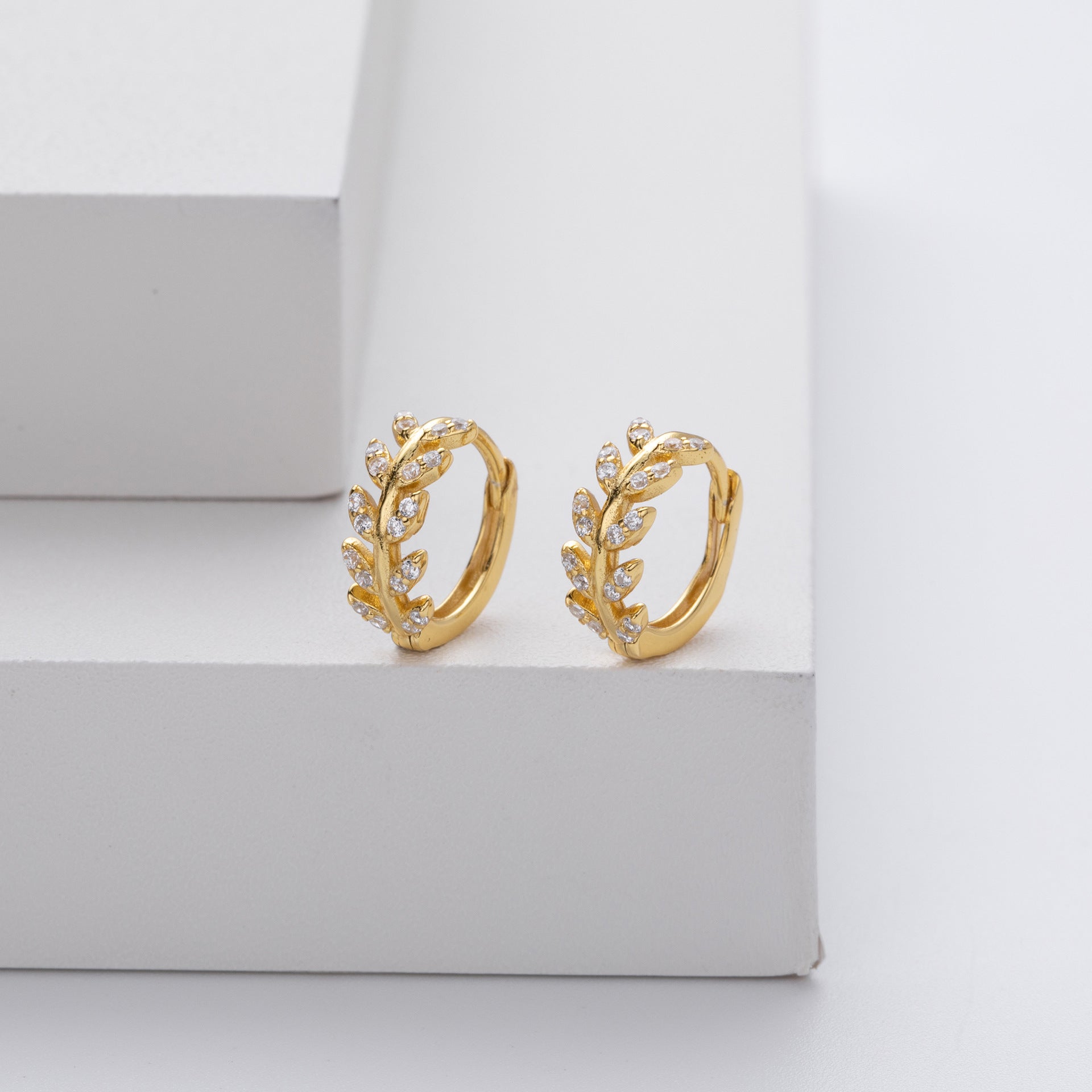 Stunning Silver Hoop Earrings for Women